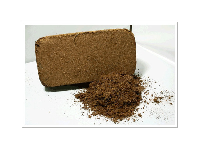 Coco brick (washed, packed) 650 g