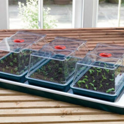 Propagator 3 parts with controllable heating 50W 80,5x41x20,5cm