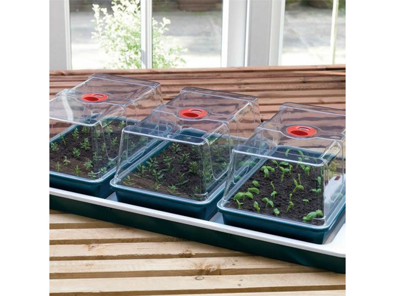 Propagator 3 parts with controllable heating 50W 80,5x41x20,5cm