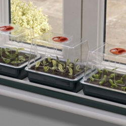 Garland propagator with 3 part heating 13 W 16x18,5x20,5cm