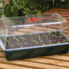 Propagator XL with ventilating 58x40x22,5 cm