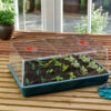 Propagator Large high with ventilating 37,5x23x18 cm