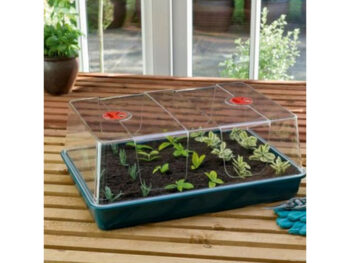 Propagator Large high with ventilating 37,5x23x18 cm