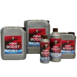 Hesi Boost