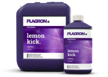 Plagron lemon kick