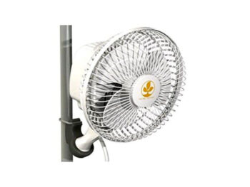 Secret Jardin Monkey Fan 19 cm 16W